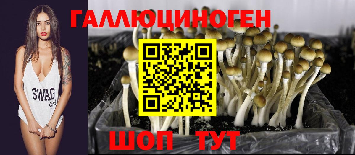 дарнет шоп  Вход с VPN  Псилоцибиновые грибы Magic Shrooms  Севастополь  Псилоцибиновые грибы прущие грибы 