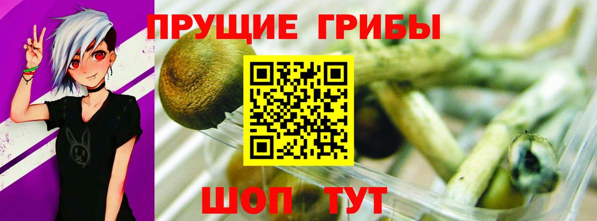 Псилоцибиновые грибы мухоморы Севастополь